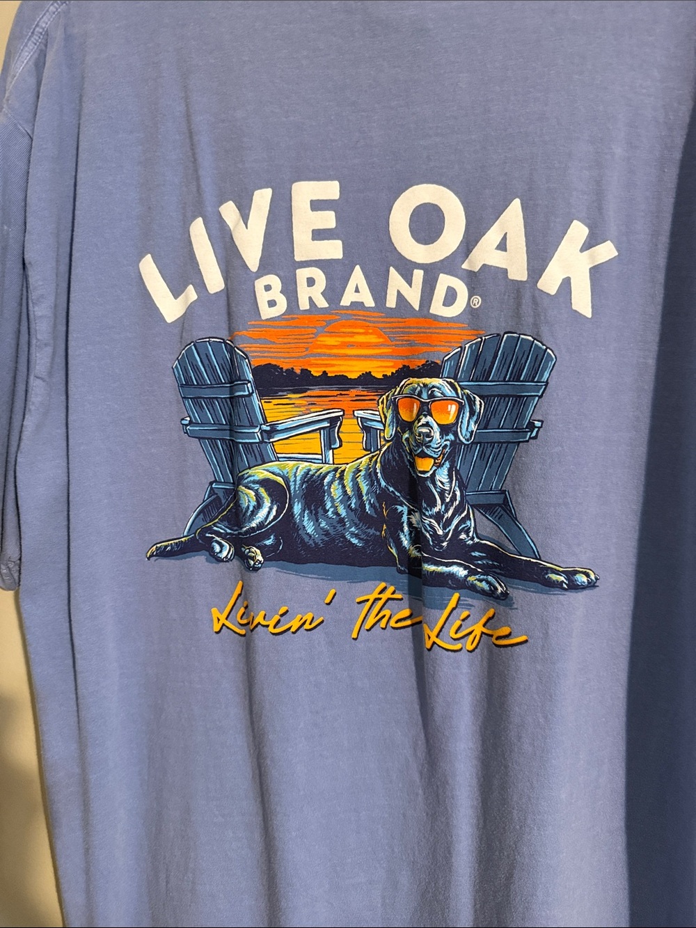 Live Oak Brand Men's Short Sleeve Graphic Tee - Blue